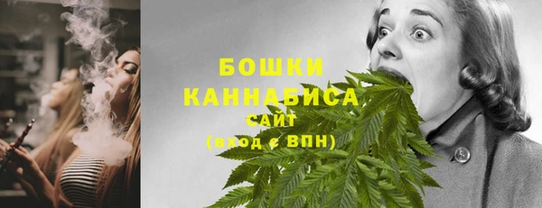 прущие крисы Белокуриха