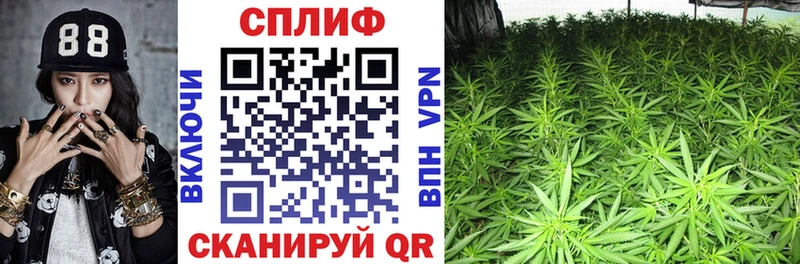 Бошки марихуана семена  Биробиджан 